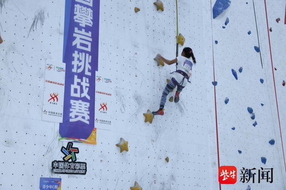 限公司, 育发展有限, 所属学校参